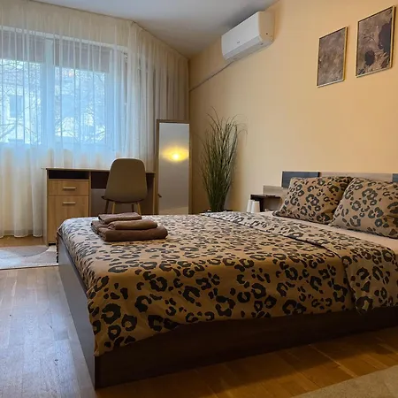 Cozy Spacious In